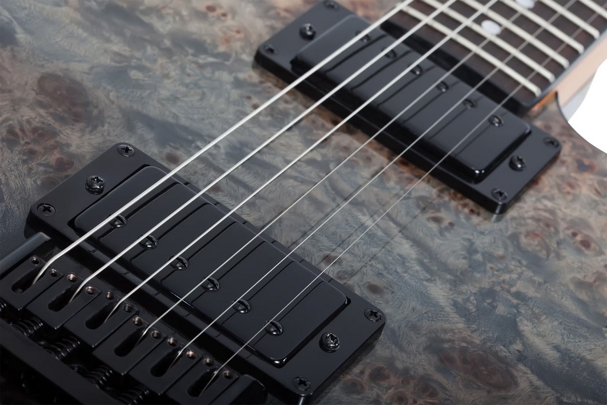 Электрогитара Schecter PT STANDARD BFBB