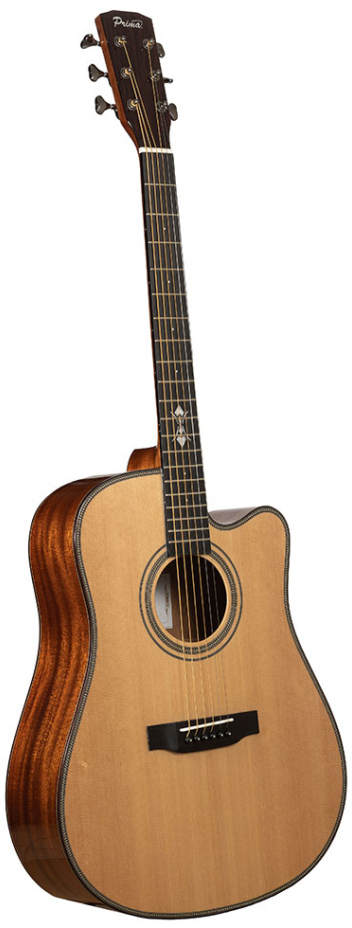 Акустическая гитара PRIMA MAG212C