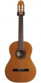 Классическая гитара A.Sanchez S-1005 P