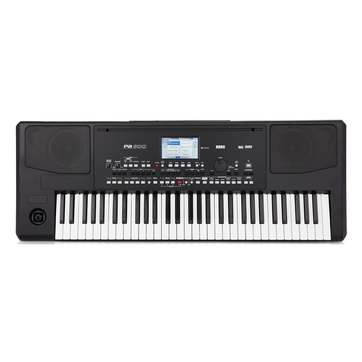 Рабочая станция Korg Pa300