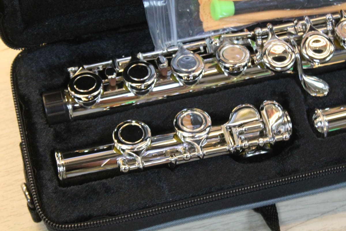 Флейта MEGATONE MTF-10N