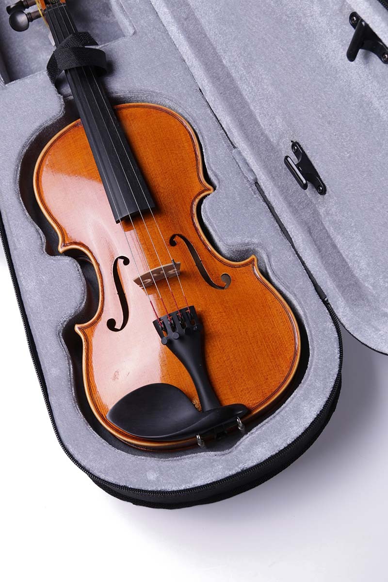 Кейс для скрипки Foix FVC31-4/4