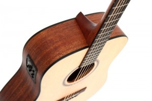 Акустическая гитара Dowina DE 111 S Limited Edition