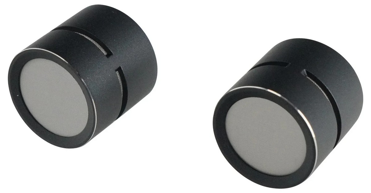 Микрофонные капсюли комплект SE Electronics sE8 Cardioid Capsule Pair