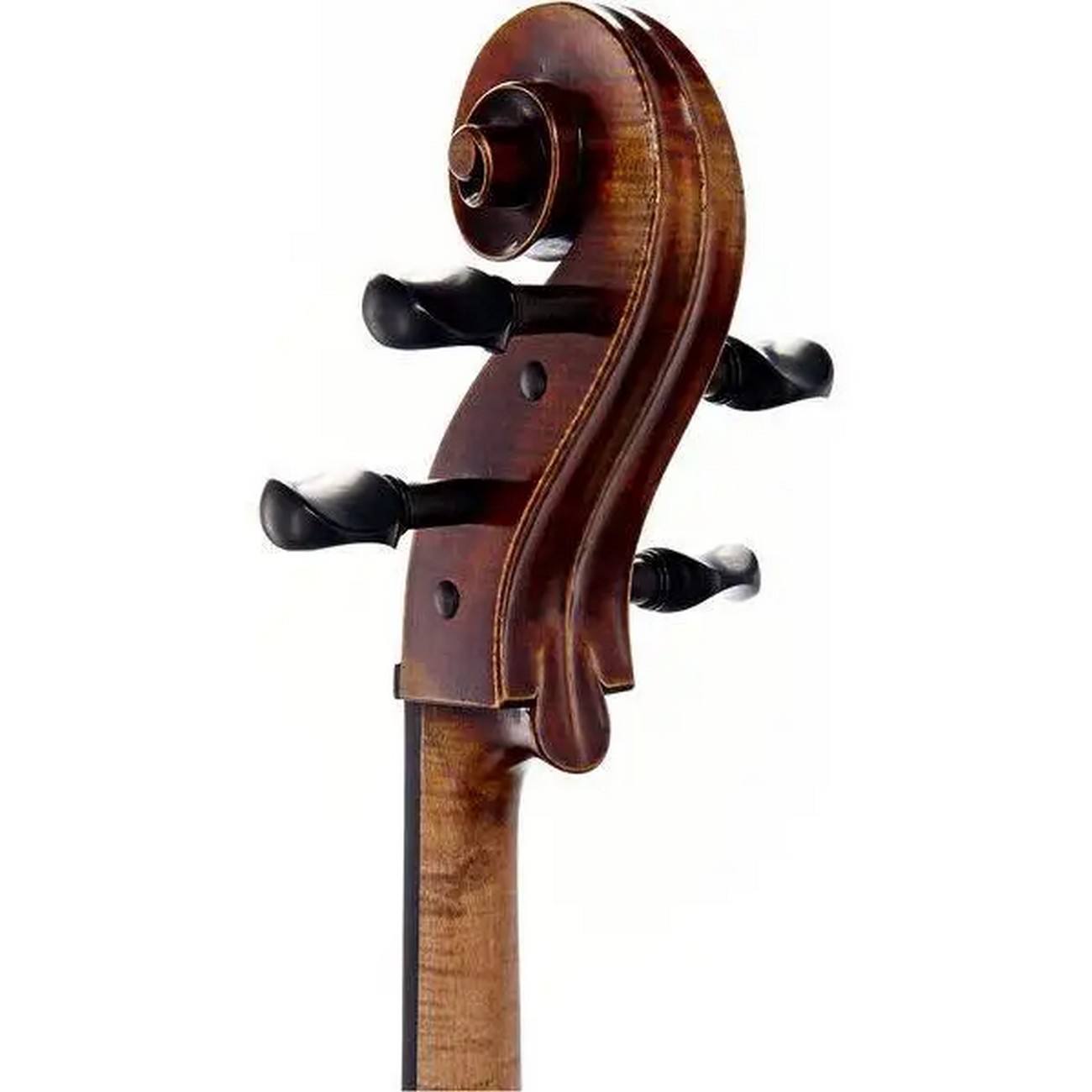 Виолончель GEWA Cello Germania Rom 4/4 Antique