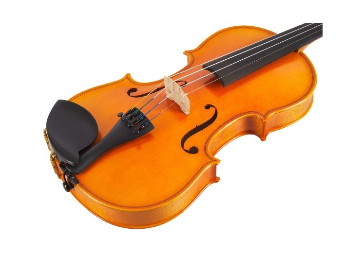 Скрипка GEWA Aspirante Dresden 4/4 GS401511