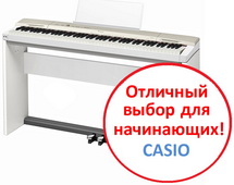 Цифровое пианино CASIO PX-160 GD