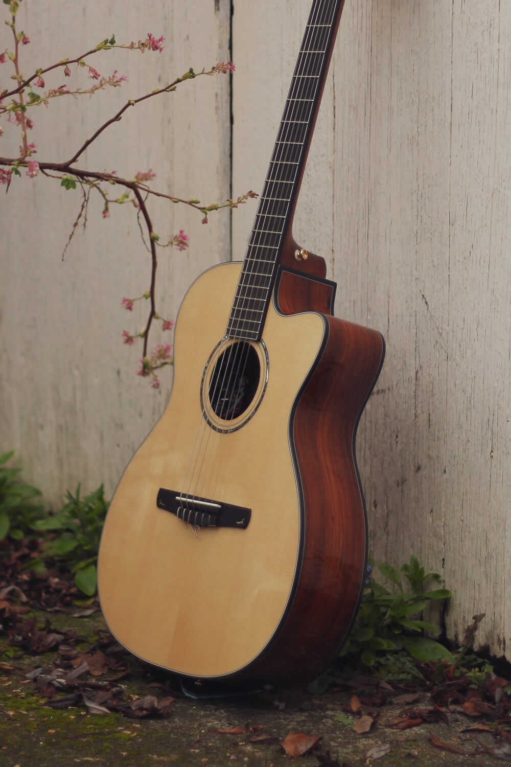 Электроклассическая гитара Cort Gold-OC8-NYLON-WCASE-NAT