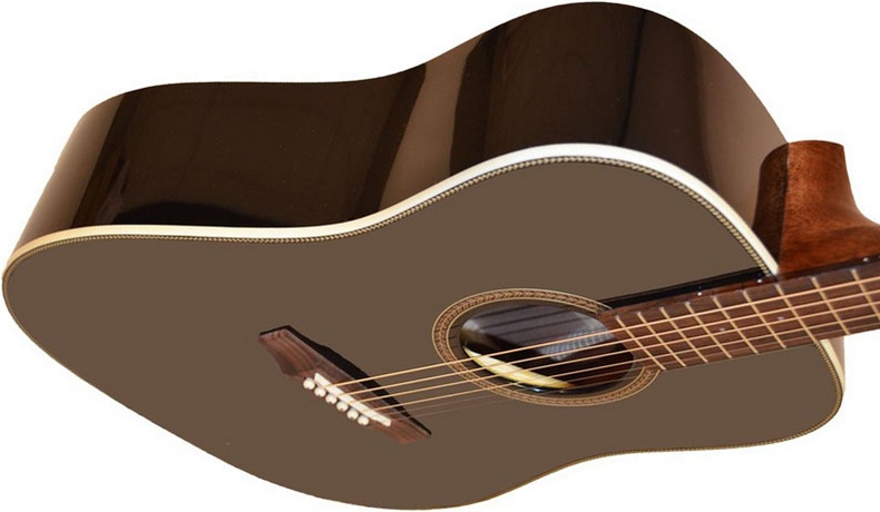 Акустическая гитара Dowina D 555 BKW