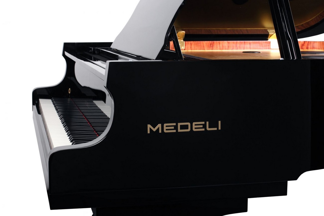 Цифровое пианино Medeli GP805