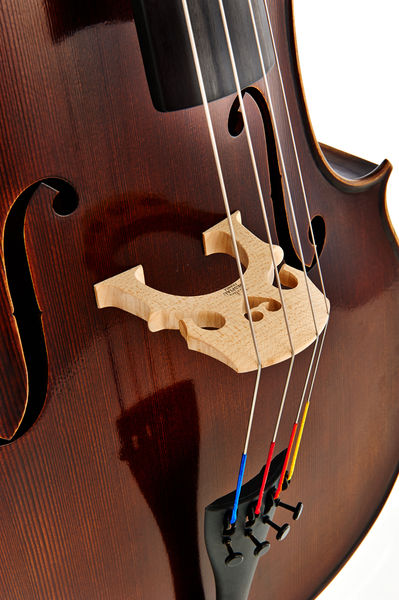 Виолончель GEWA Cello Germania Paris 4/4